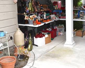 Back Patio Overview