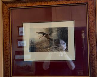 Beautifully framed picture