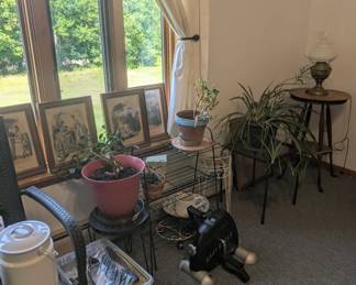 Rear living room