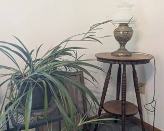 Plants and Bradley and Hubbard oil lamp