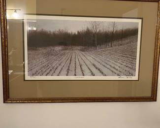 Cornfield pic framed artwork $100
