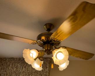 Kitchen Light/Fan