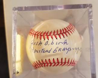 Josh Gibson Jr Authenticated Signed Baseball - Reserve Priced
