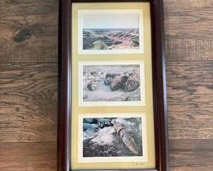 Framed Triple Landscape Photography Wall Decor