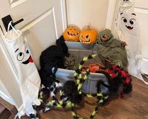 Assorted Halloween Decorations Lot with Animated Props and Storage Tote