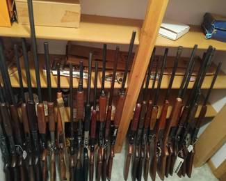 Various long guns