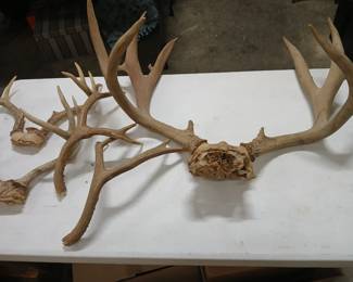 Antlers