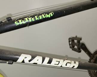Raleigh Stutterbump Mountain Bike