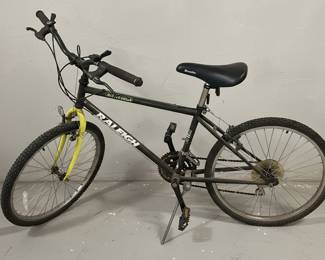 Raleigh Stutterbump Mountain Bike