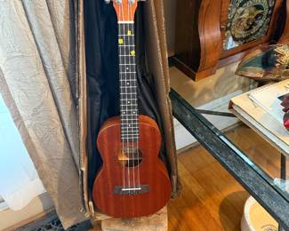 Living Room-Vircaya Ukulele in box