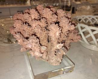 Coral Decor