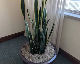 Furnishing Sale includes unique items like pots and plants.