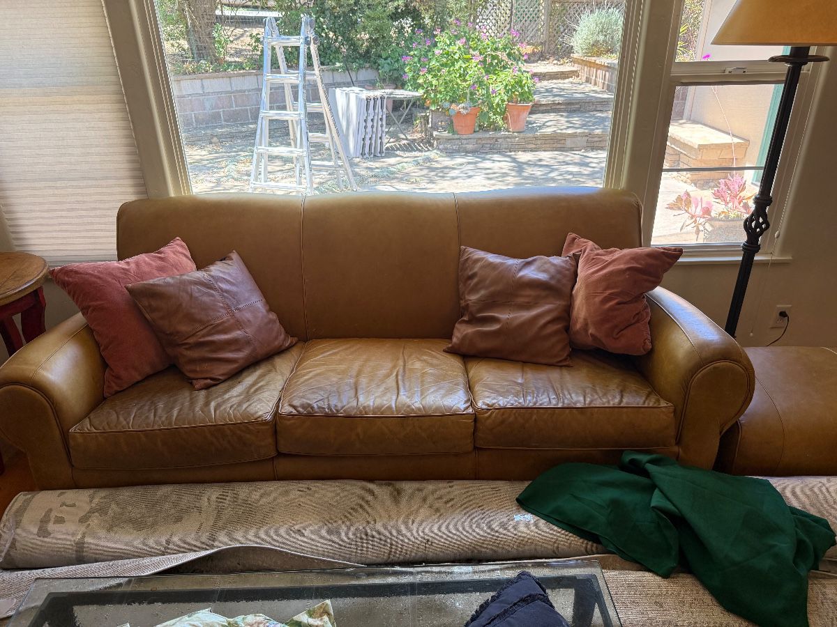 Carianna Leather Sofa $700