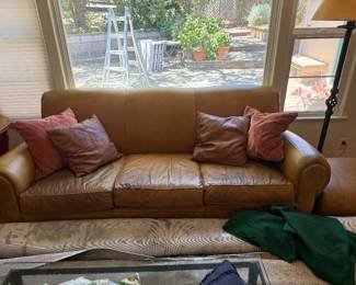 Carianna Leather Sofa $700