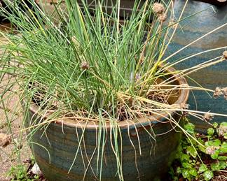 Outdoor large planters