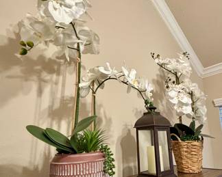 Silk Orchids
