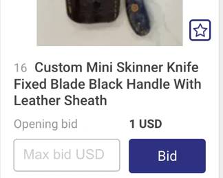 Sale Picture
