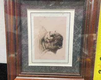 Spencer Williams small framed buffalo