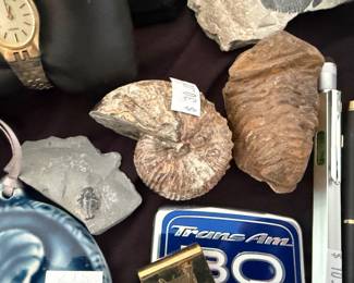 Shells