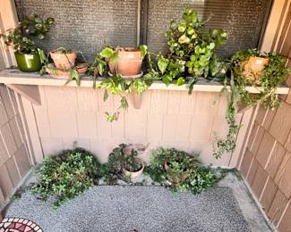 PLANTS