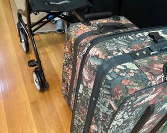 Walker; luggage