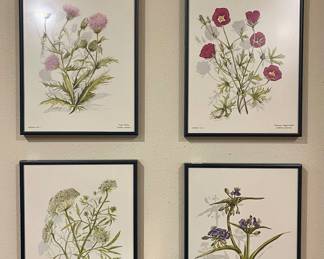 VINTAGE 1970’S BOTANICAL PRINTS
