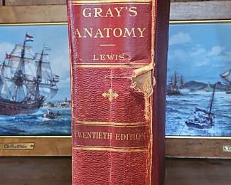 Gray's Anatomy, 20th Edition (1918)