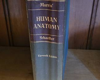 Morris' Human Anatomy, 11th Edition (1953)