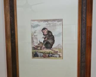 18th Century French Hand-Colored Primate Engraving by Georges-Louis Leclerc, Comte de Buffon