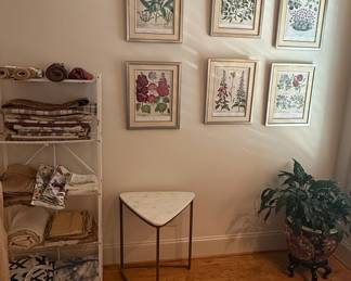 Set of Six Antique Botanical Prints