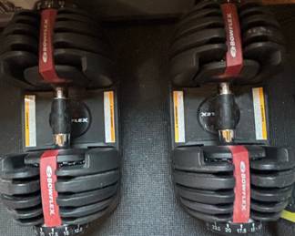 Bowflex SelectTech 552 Adjustable Dumbbells