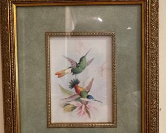 John Gould Hummingbird Lithograph Reproduction