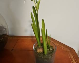 Artificial Paperwhite Narcissus Arrangement in Glass Vase