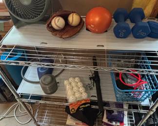 Assorted Home Fitness and Sports Equipment Lot with Wire Shelving Unit