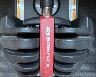 Bowflex SelectTech 552 Adjustable Dumbbells