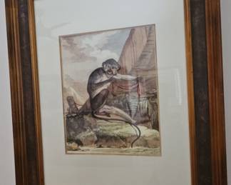 Antique Hand-Colored Monkey Engraving by Comte de Buffon