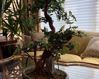 Bonsai Decor
