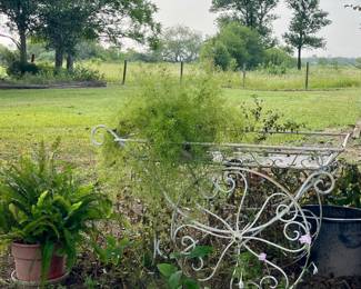 ANOTHER WROUGHT IRON PLANT CART