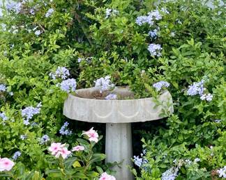 ANOTHER CONCRETE BIRD BATH
