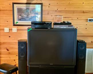 SONY TELEVISION, YAMAHA RECIEVER, TOSHIBA DVD PLAYER, “MORNING PROCESSION” SIGNED NUMBERED DUCK PRINT BY CYNTHIA FISHER