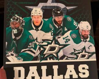 Dallas Stars coloring book
