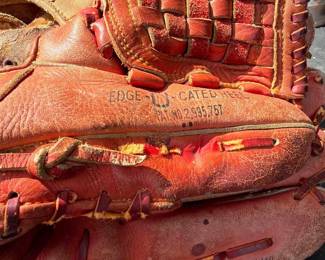 Catchers Mitt