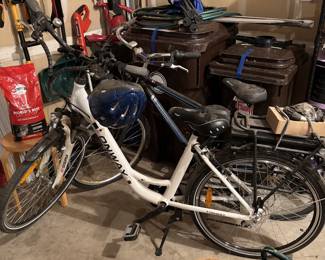 Onway Electric Bike