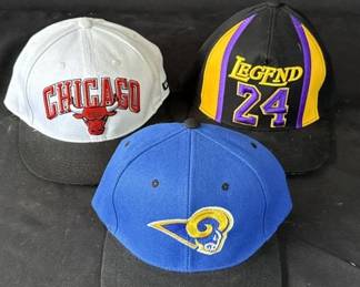 Lot 360h  Lot of 3 sport snapback hats