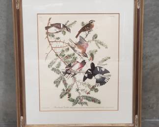 Lot 69  RoseBreasted Grosbeak book plate