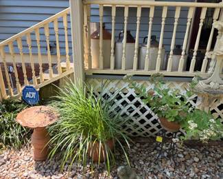 birdbath, plants