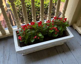 concrete planters with begonias