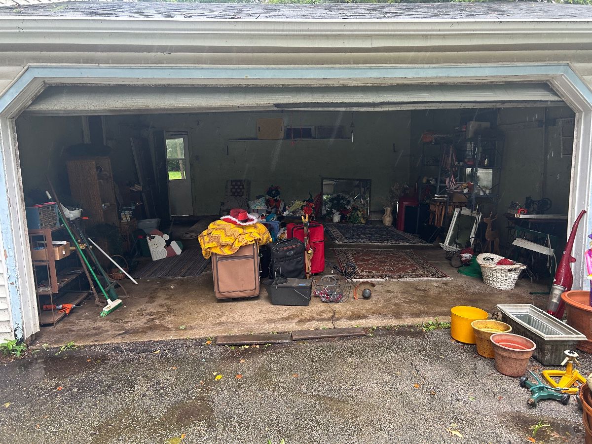 Last chance - Rugs are free