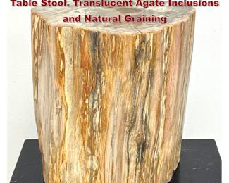 Lot 44 Heavy Polished Petrified Wood Side Table Stool. Translucent Agate Inclusions and Natural Graining