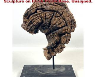 Lot 215 Natural Organic Wood Specimen Sculpture on Black Plinth Base. Unsigned.
